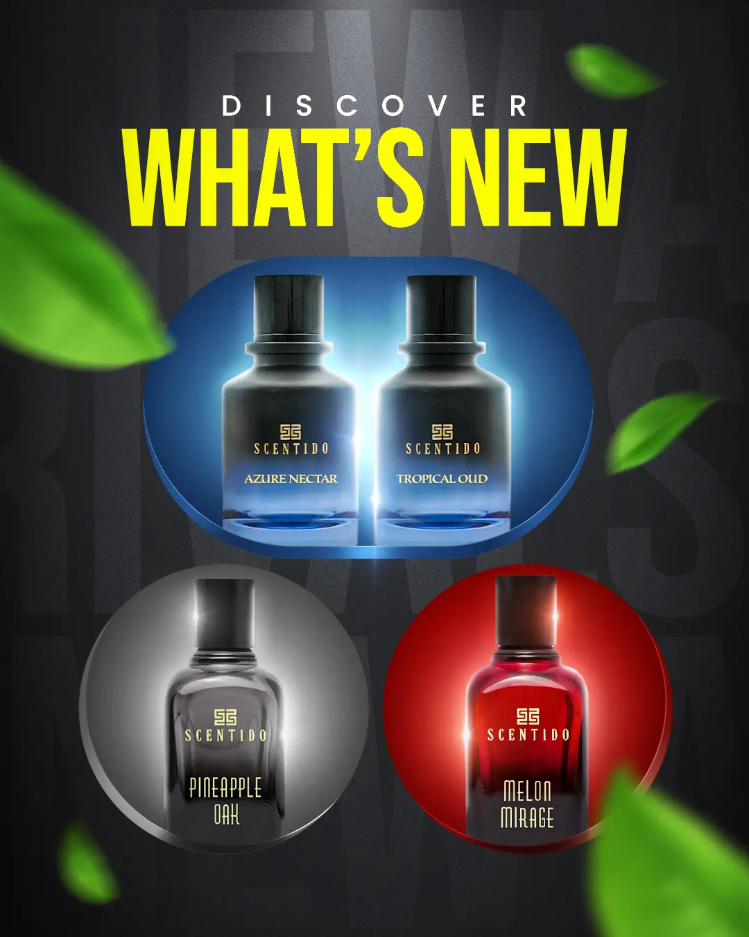 Scentido-New-Collection-Web-Banner-(1080x1350)
