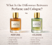 diffrence between perfume and cologne